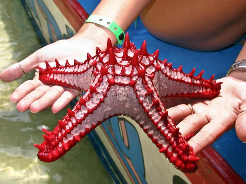 Nyumba Tulivu Lägenhet Watamu Exteriör bild