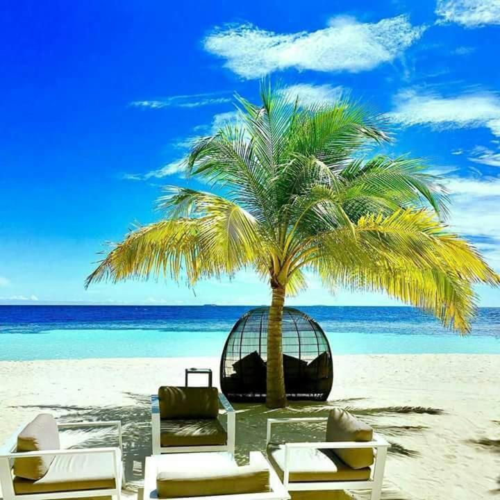 Nyumba Tulivu Lägenhet Watamu Exteriör bild